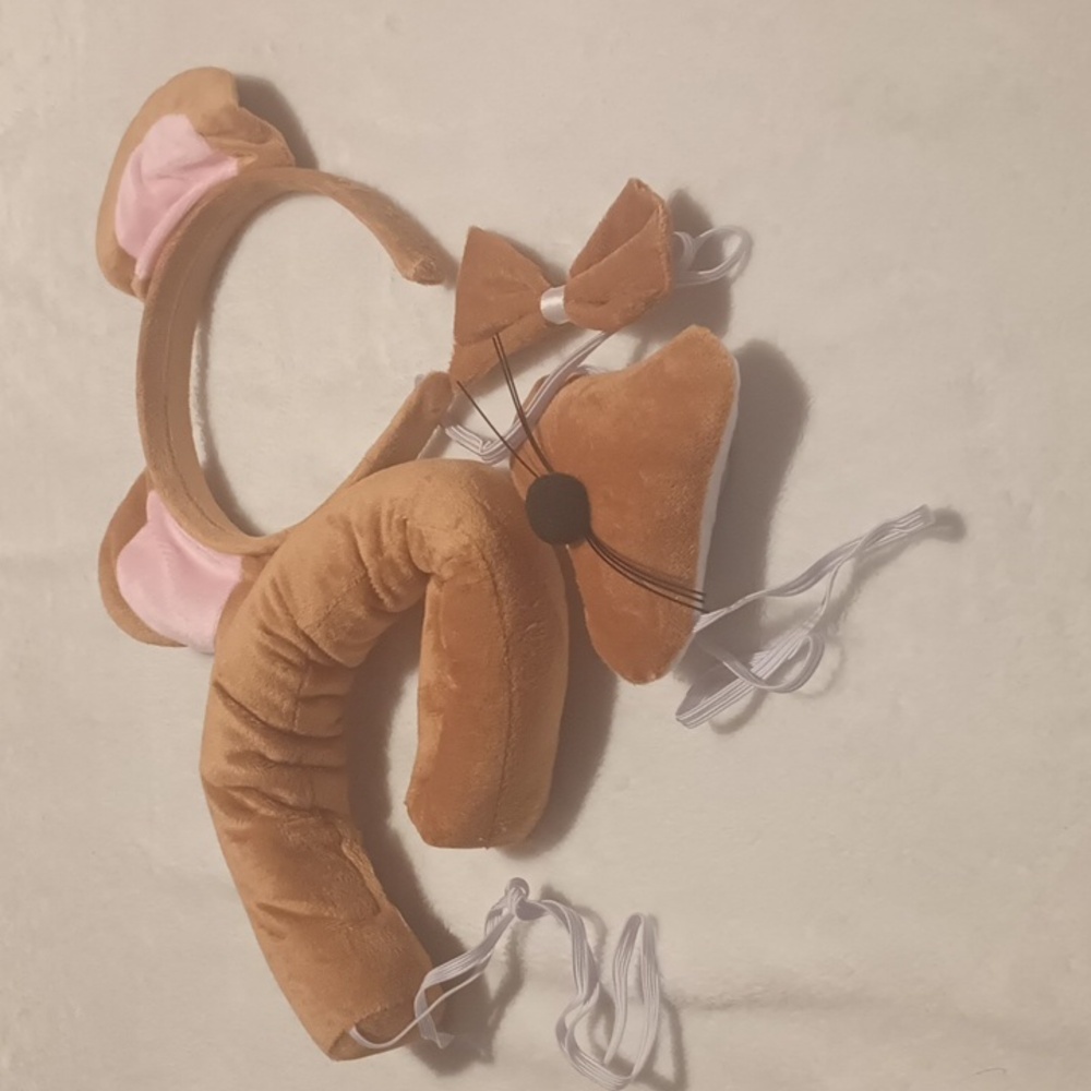 Brown and Pink Mouse Costume Set for Kids